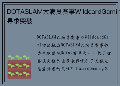 DOTASLAM大满贯赛事WildcardGaming寻求突破